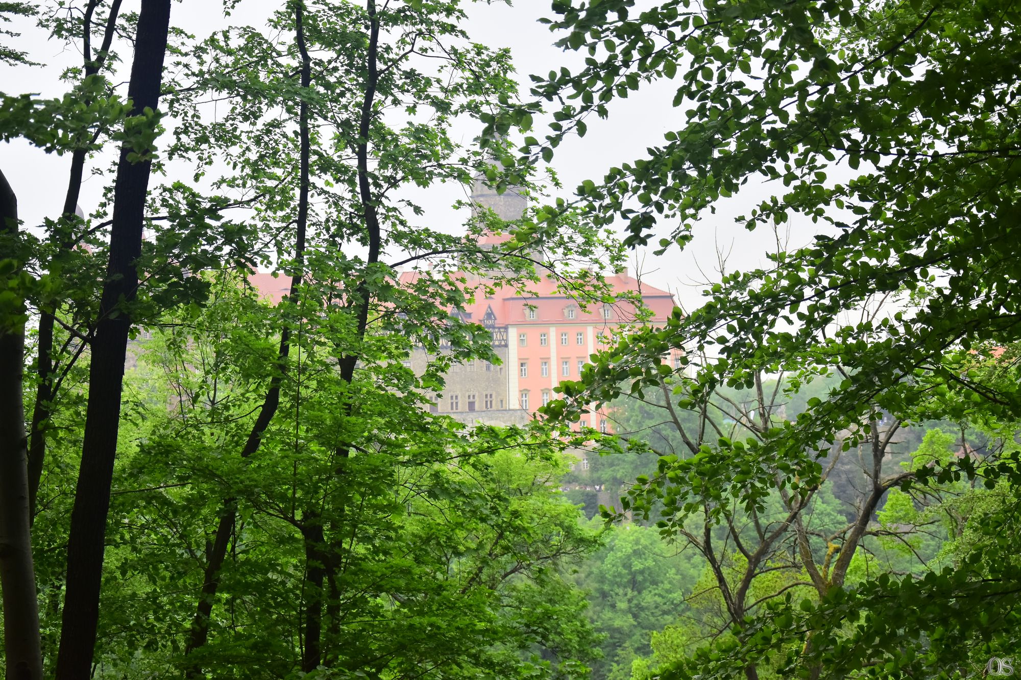 Sciezka Hochbergow 59.jpg